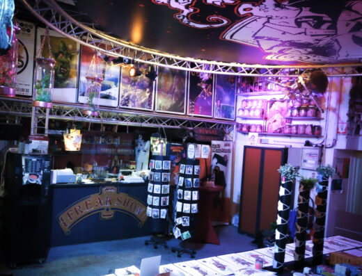 musée d art fantastique